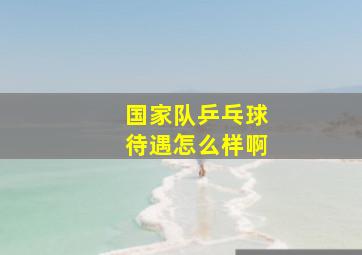 国家队乒乓球待遇怎么样啊