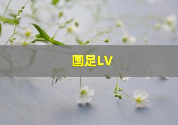 国足LV