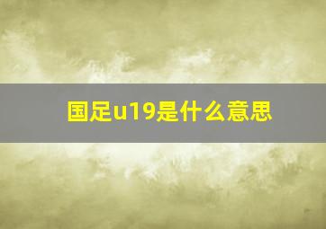 国足u19是什么意思