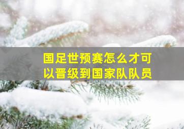 国足世预赛怎么才可以晋级到国家队队员