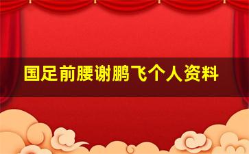 国足前腰谢鹏飞个人资料