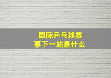 国际乒乓球赛事下一站是什么