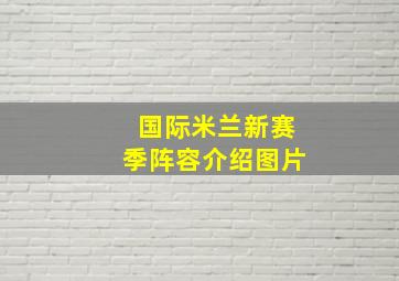 国际米兰新赛季阵容介绍图片