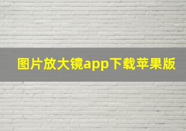 图片放大镜app下载苹果版