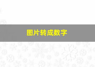 图片转成数字