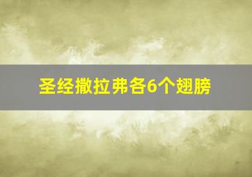 圣经撒拉弗各6个翅膀