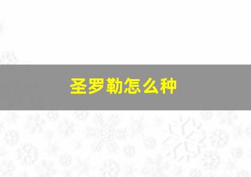 圣罗勒怎么种