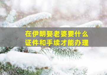 在伊朗娶老婆要什么证件和手续才能办理