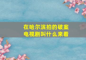 在哈尔滨拍的破案电视剧叫什么来着