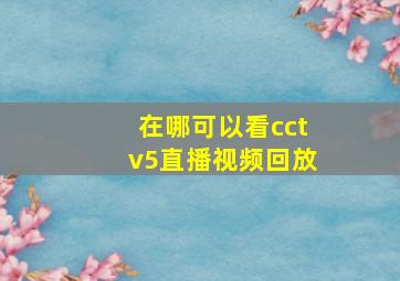 在哪可以看cctv5直播视频回放