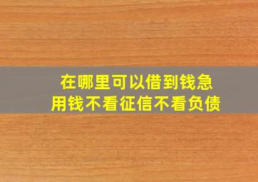 在哪里可以借到钱急用钱不看征信不看负债