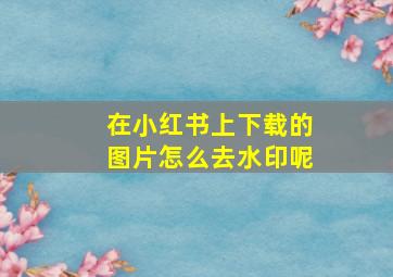 在小红书上下载的图片怎么去水印呢