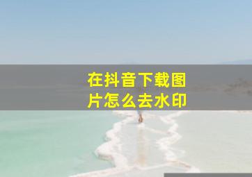 在抖音下载图片怎么去水印