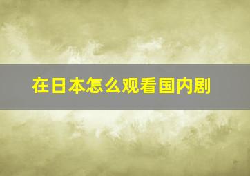 在日本怎么观看国内剧