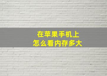 在苹果手机上怎么看内存多大