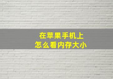 在苹果手机上怎么看内存大小