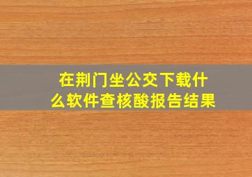 在荆门坐公交下载什么软件查核酸报告结果