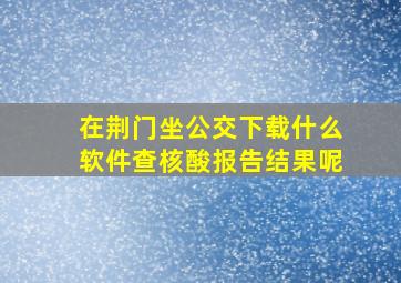 在荆门坐公交下载什么软件查核酸报告结果呢