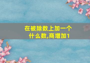 在被除数上加一个什么数,商增加1