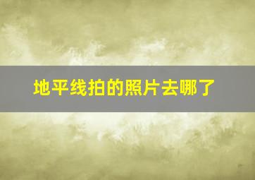 地平线拍的照片去哪了