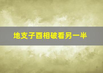 地支子酉相破看另一半