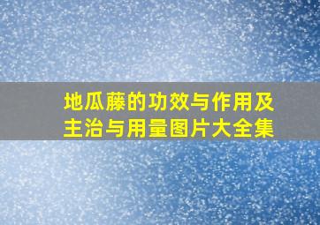 地瓜藤的功效与作用及主治与用量图片大全集