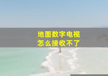 地面数字电视怎么接收不了