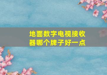 地面数字电视接收器哪个牌子好一点