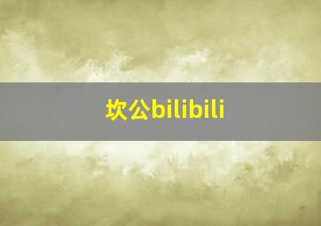 坎公bilibili