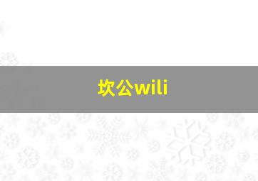 坎公wili