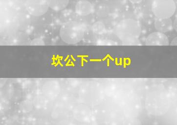 坎公下一个up