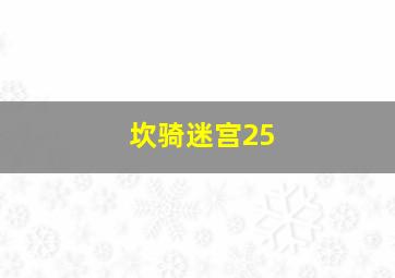 坎骑迷宫25