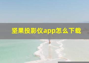 坚果投影仪app怎么下载