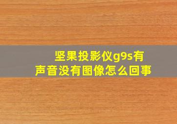 坚果投影仪g9s有声音没有图像怎么回事