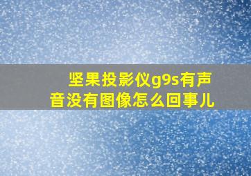 坚果投影仪g9s有声音没有图像怎么回事儿