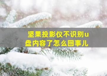 坚果投影仪不识别u盘内容了怎么回事儿