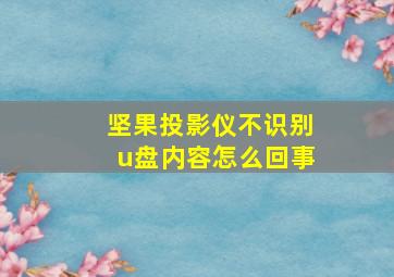 坚果投影仪不识别u盘内容怎么回事