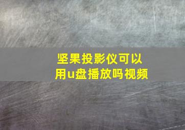 坚果投影仪可以用u盘播放吗视频