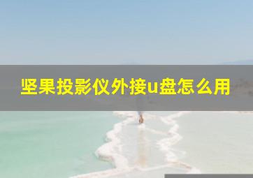 坚果投影仪外接u盘怎么用