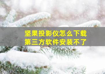 坚果投影仪怎么下载第三方软件安装不了