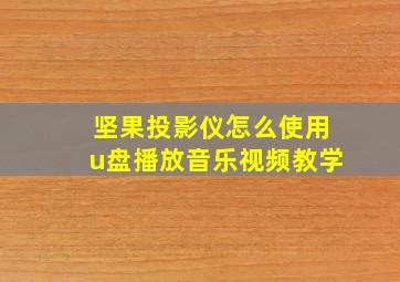 坚果投影仪怎么使用u盘播放音乐视频教学