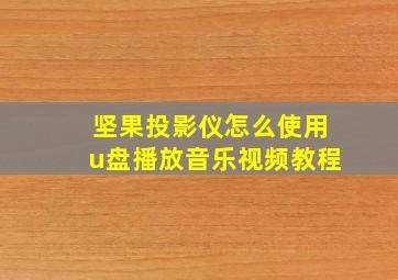 坚果投影仪怎么使用u盘播放音乐视频教程