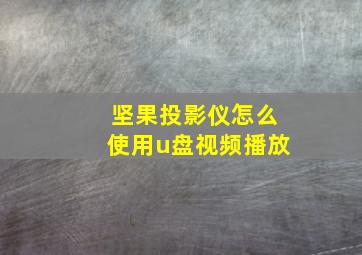 坚果投影仪怎么使用u盘视频播放