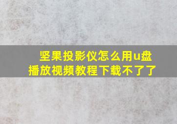 坚果投影仪怎么用u盘播放视频教程下载不了了