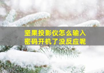 坚果投影仪怎么输入密码开机了没反应呢