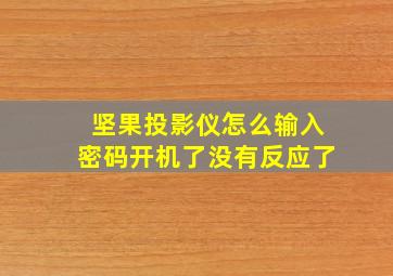 坚果投影仪怎么输入密码开机了没有反应了