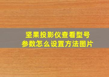 坚果投影仪查看型号参数怎么设置方法图片