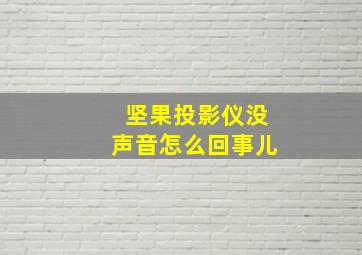 坚果投影仪没声音怎么回事儿