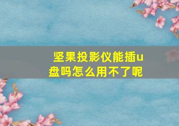 坚果投影仪能插u盘吗怎么用不了呢