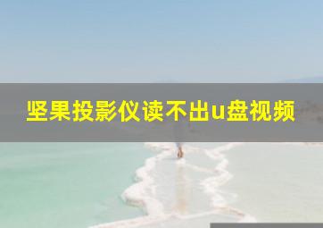 坚果投影仪读不出u盘视频